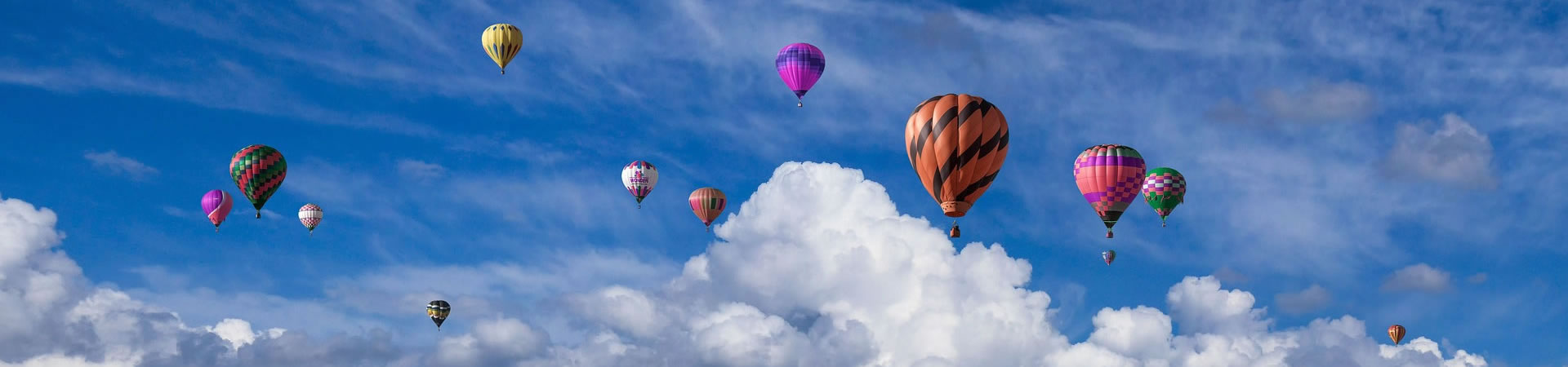 火狐电竞认证介绍